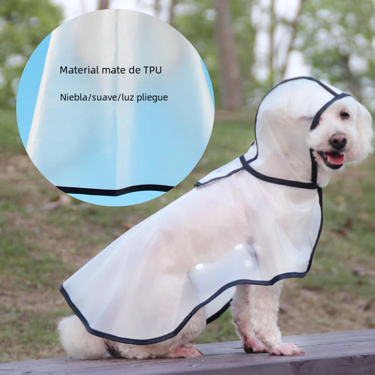 Dog Raincoat for Small Breeds - In Stock