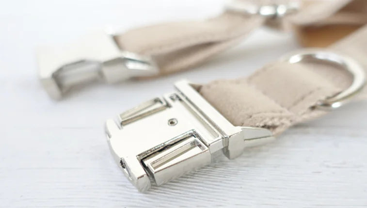 Creative Design Teddy Dog Collar - Eco-Friendly Pet Gear