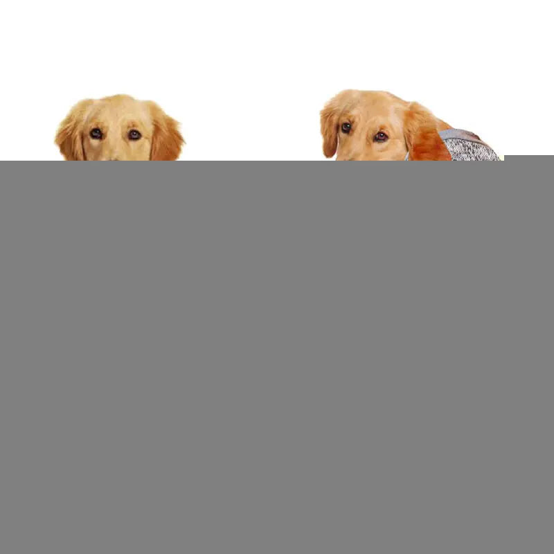 Pet Sweater, Autumn Winter Knitwear for Large Dogs