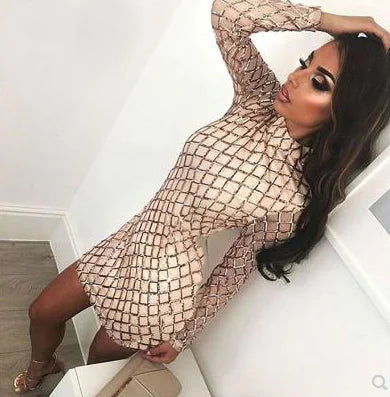 Stylish Sequin Round Neck Long Sleeve Dress for Nightclub