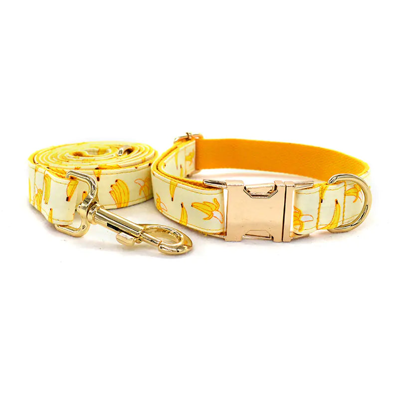 Gold Metal Buckle Tow Rope Collar for Pets