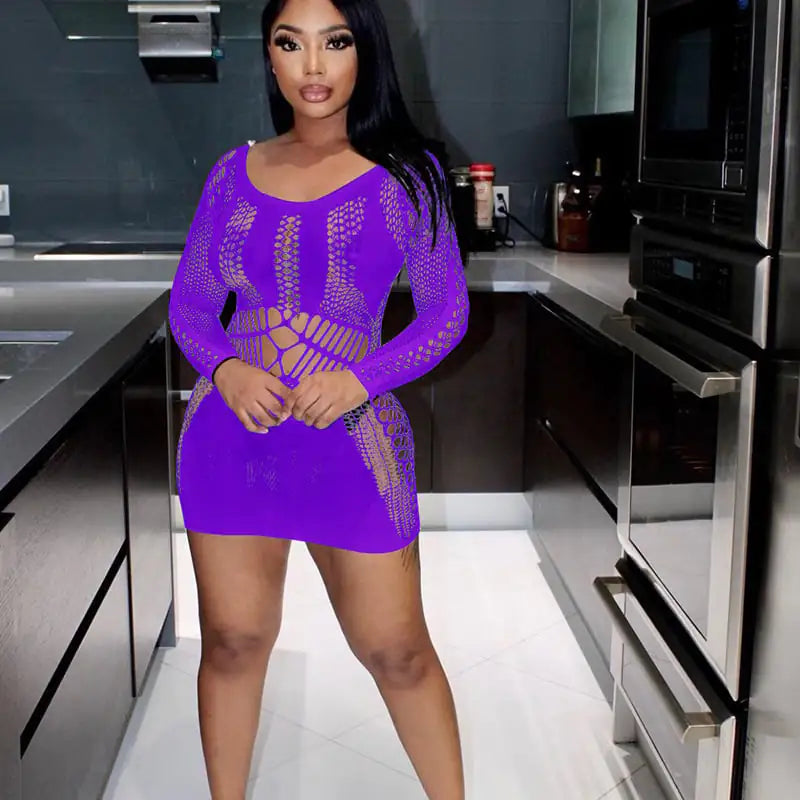 Slim Fit Long Sleeve Fishnet Sheath Dress