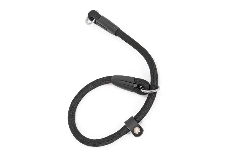 Double-headed Nylon Dog Collar