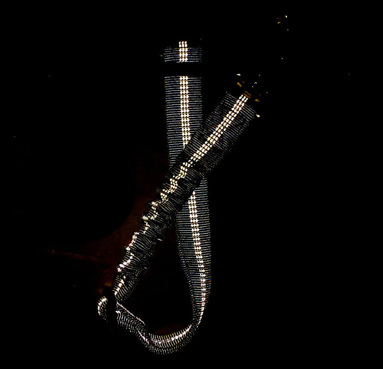 Pet Car Safety Belt with Reflective Elastic Leash