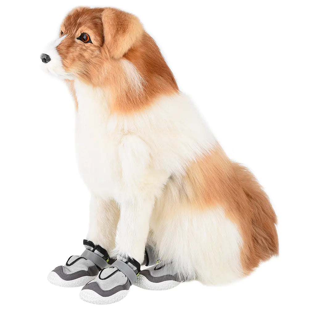 Durable and Breathable Shoes for Large Dogs