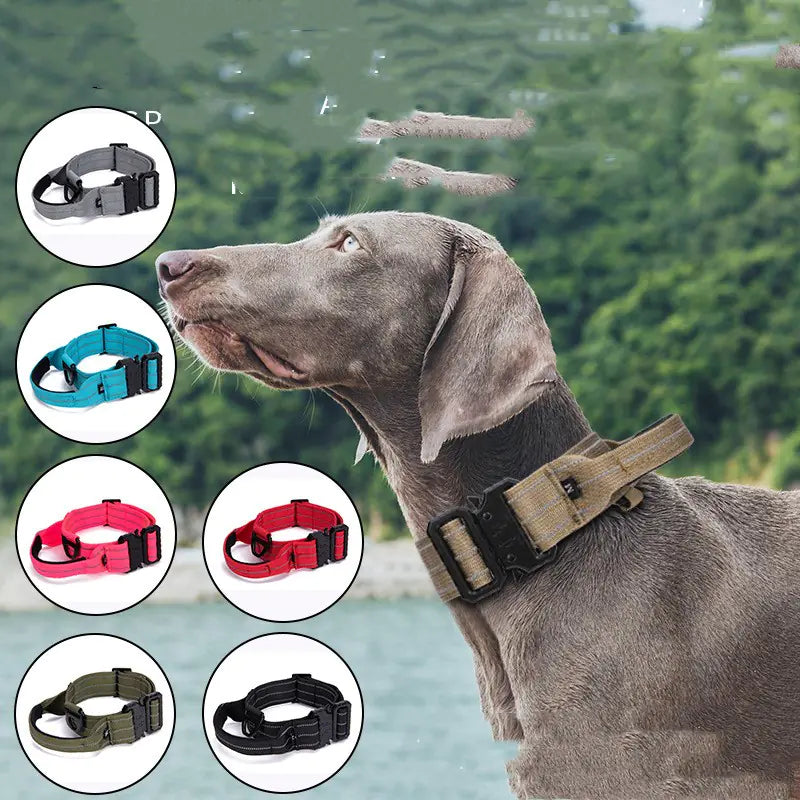 Reflective Quick Release Dog Walking Collar