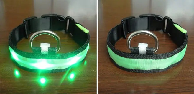 Luminous LED Pet Collar for Pomeranian & Husky