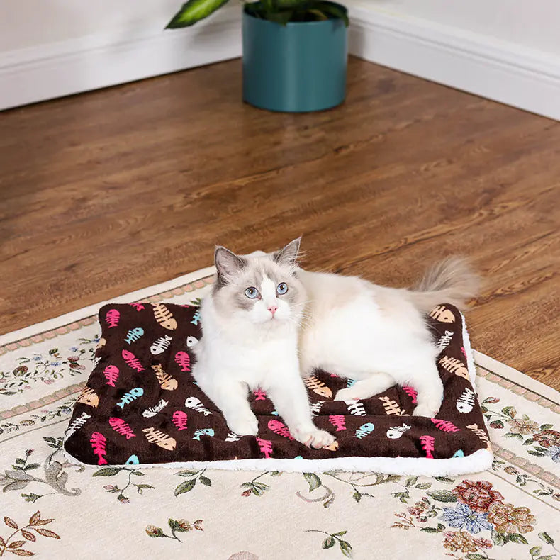 Pet Cartoon Thick Winter Blanket for Extra Warmth