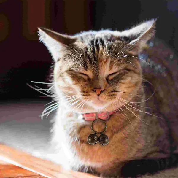 Pet Collar with Bell for Cats and Dogs