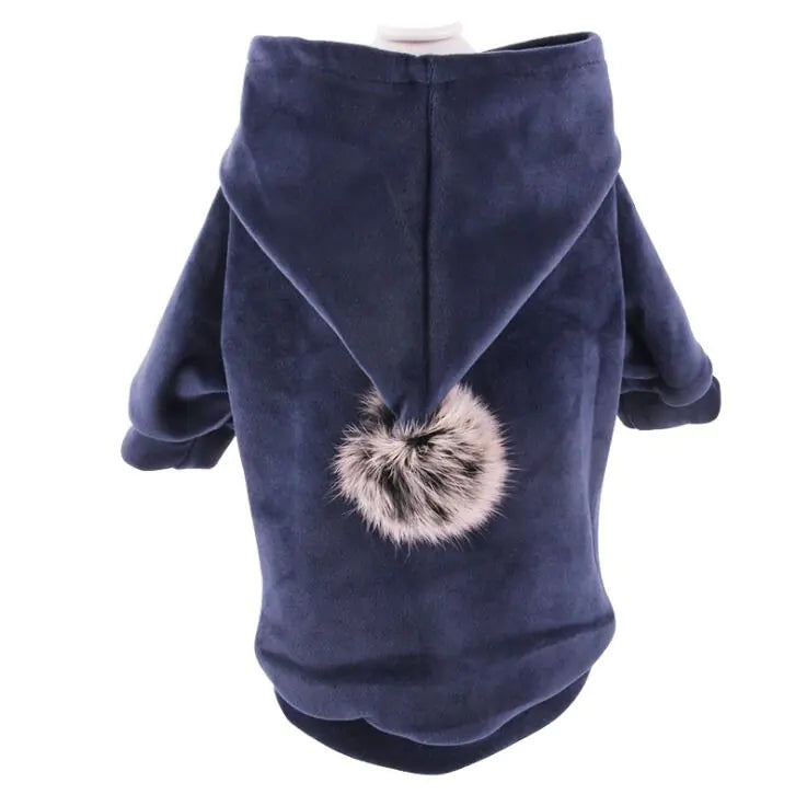 Pet Clothing for Dogs and Halloween Costumes for Cats