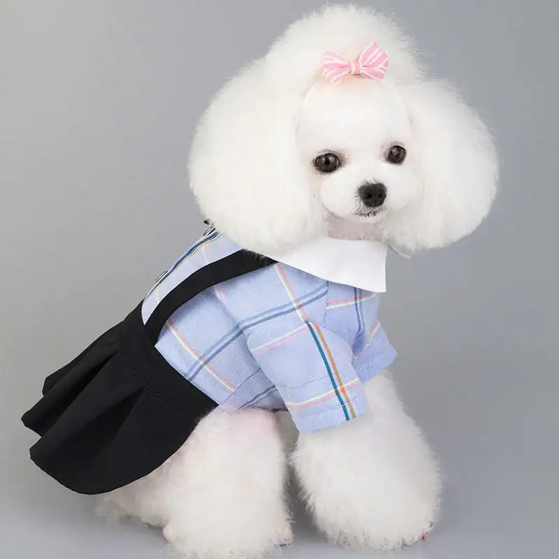 New Spring/Summer Dog Couple Outfits for Students