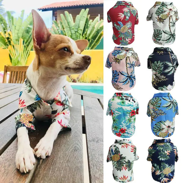 Corgi Blue Thin Shirt for Spring and Summer Dogs