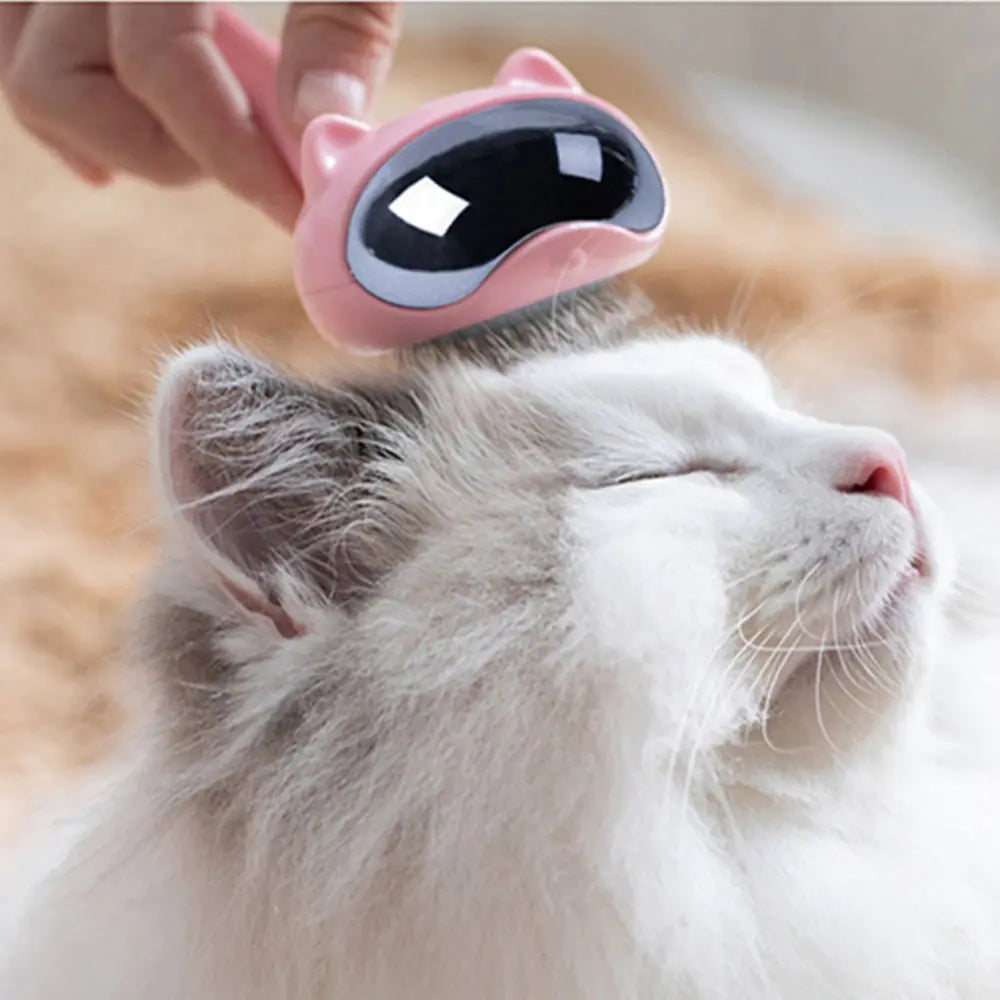Space Cat Grooming Brush for Dogs and Cats