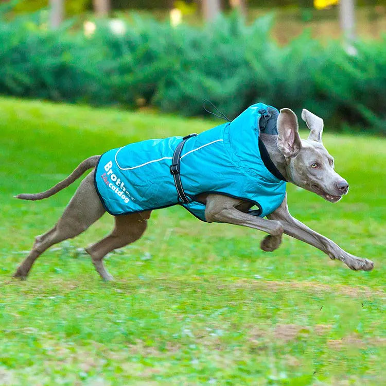 Waterproof Reflective Nylon Pet Clothing - Fashionable Style