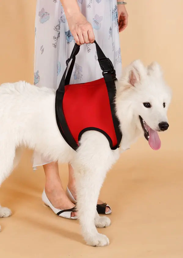 Elderly Dog Hind Leg Assist Belt for Pet Support