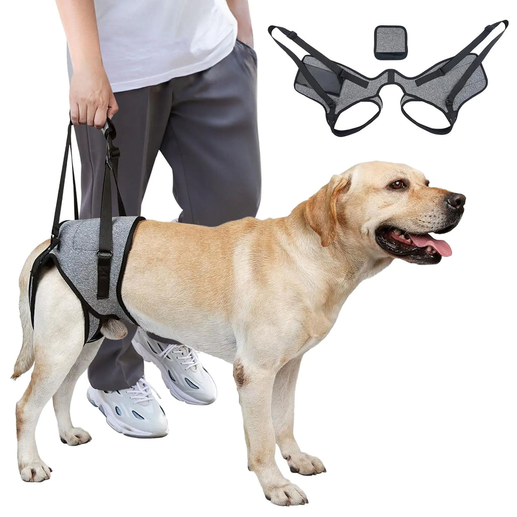 Dog Lift Harness Dog Sling for Medium Large Dogs Adjustable Dog Support Harness for Back Legs Comfy Design Pet Harness with Padded for Elderly Injured Arthritic Senior Disabled Dogs（XL）