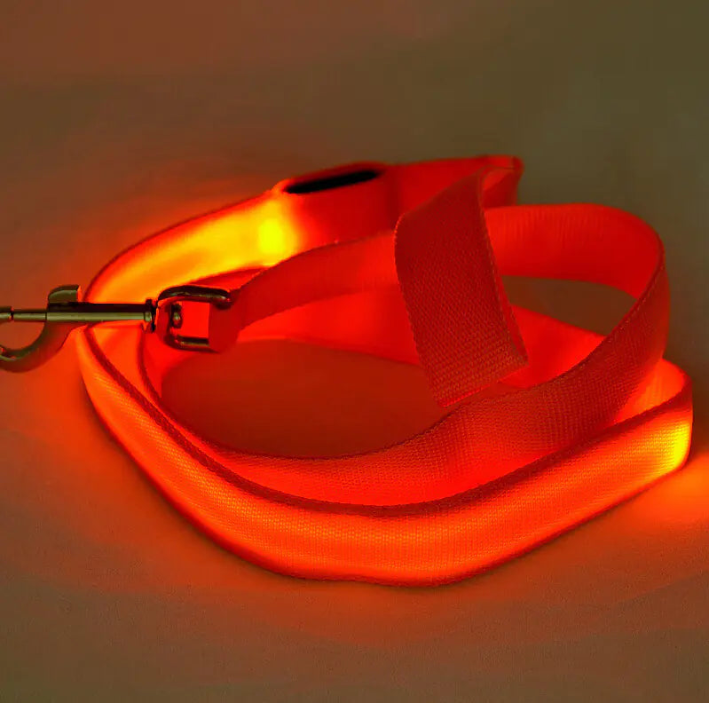 LED Glowing Dog Leash for Nighttime Walks