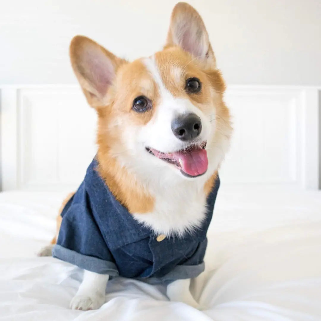 Summer Pet Printed Cotton Outfits for Small Dogs