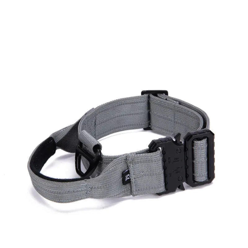 Reflective Quick Release Dog Walking Collar