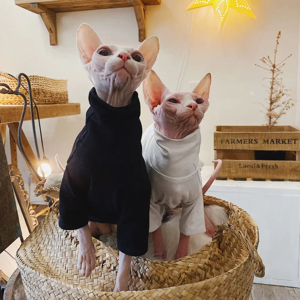 Sphynx Cotton Allergy-Free Spring Summer T-Shirt