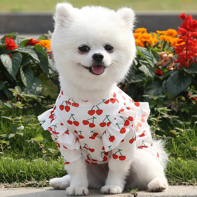 Dog Print T-Shirt Coat for Pets