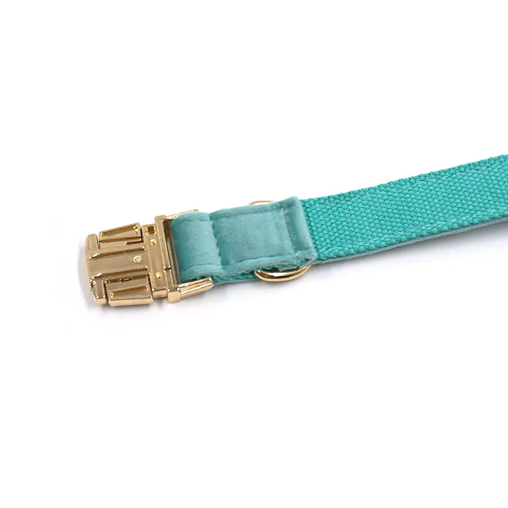 New Lake Green Velvet Pet Collar with Gold Buckle