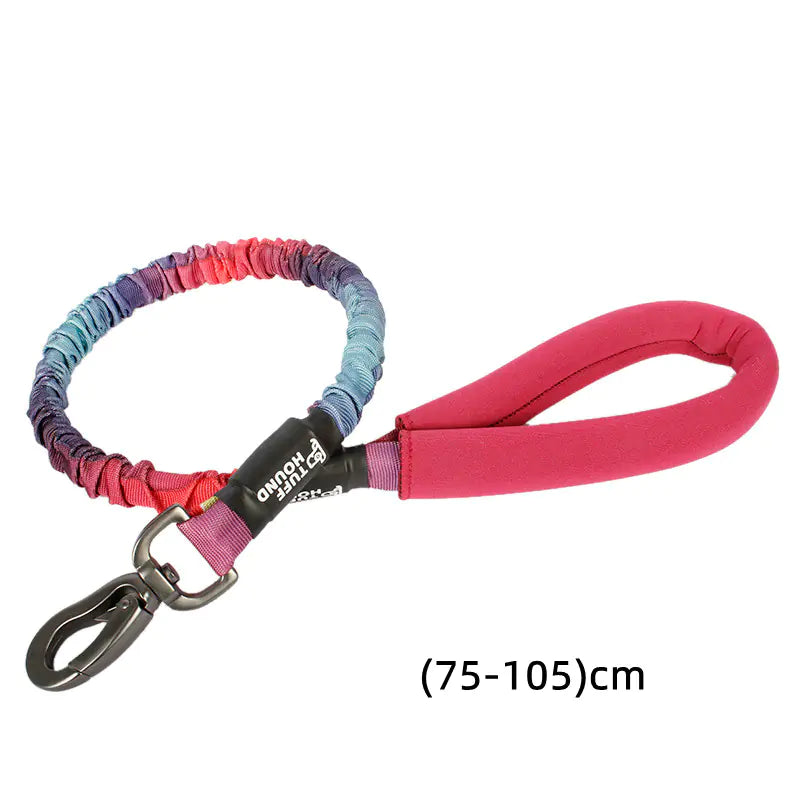 Dog Traction Collar for Enhanced Control and Safety