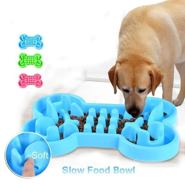 Slow Feed Dog Bowl with Color Box - Healthy and Fun