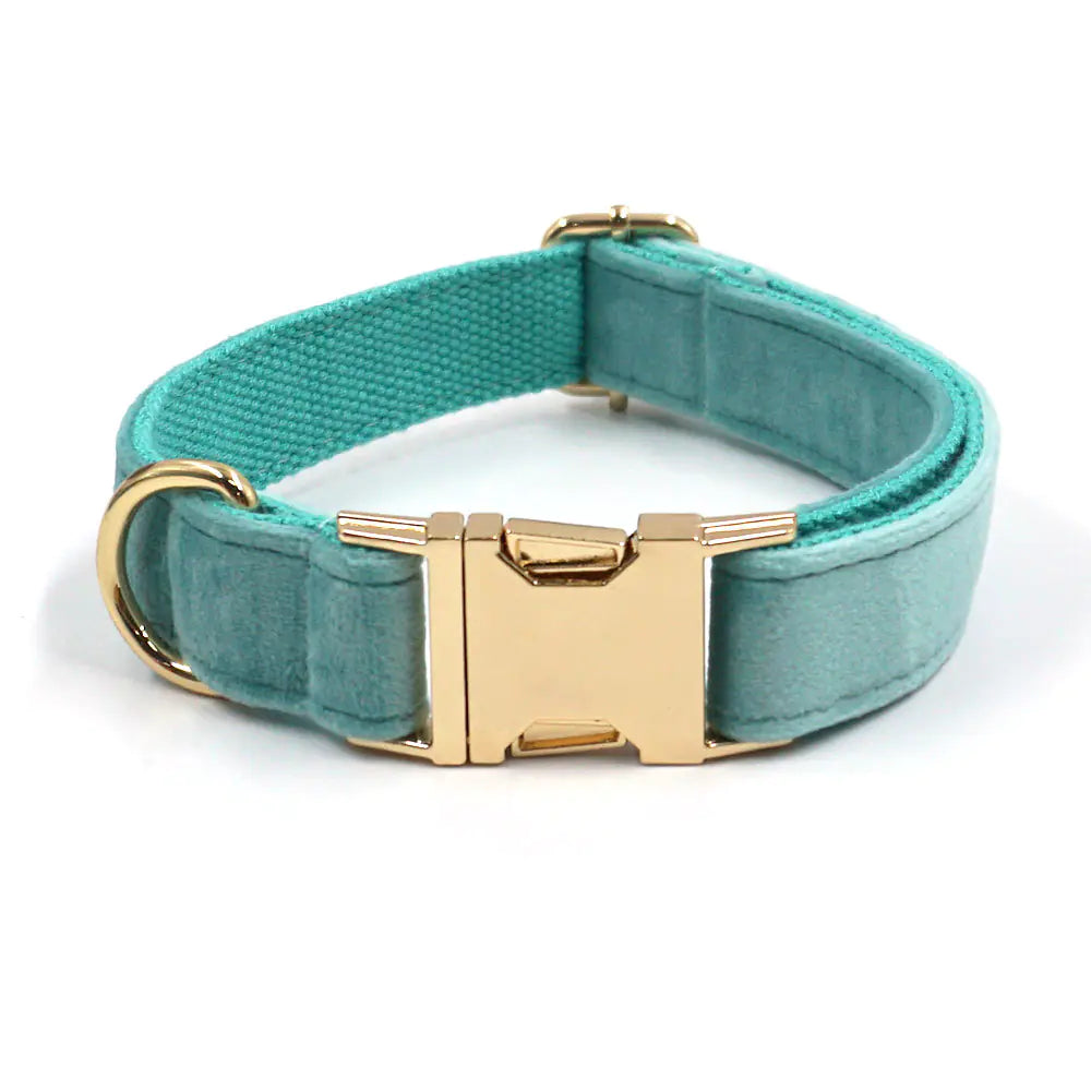New Lake Green Velvet Pet Collar with Gold Buckle