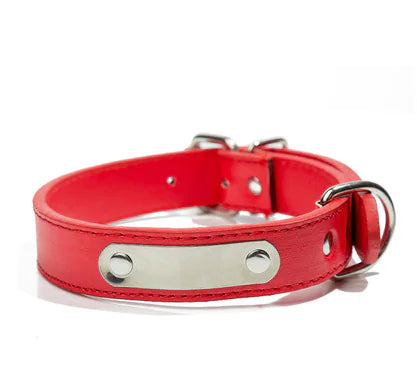 Custom Dog Tag with PU Collar for Pets