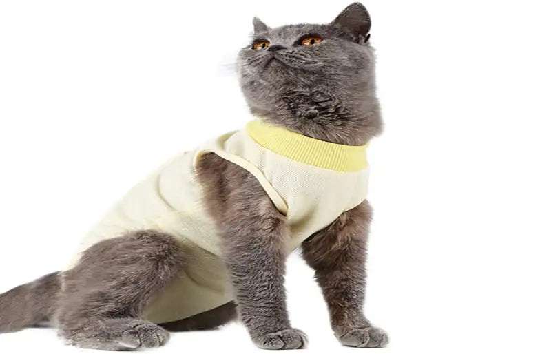 Weaning Clothes for Female Cats Post-Surgery