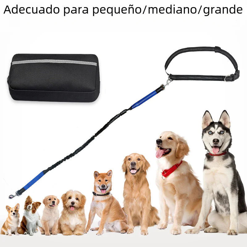 Cross-Border Pet Running Waist Bag with Leash