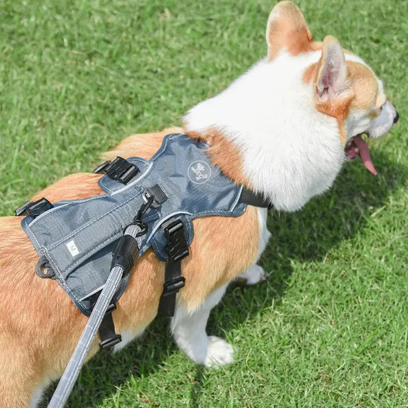 Reflective Anti-Breaking Dog Leash with Grip