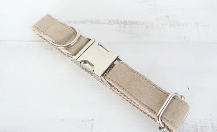 Creative Design Teddy Dog Collar - Eco-Friendly Pet Gear