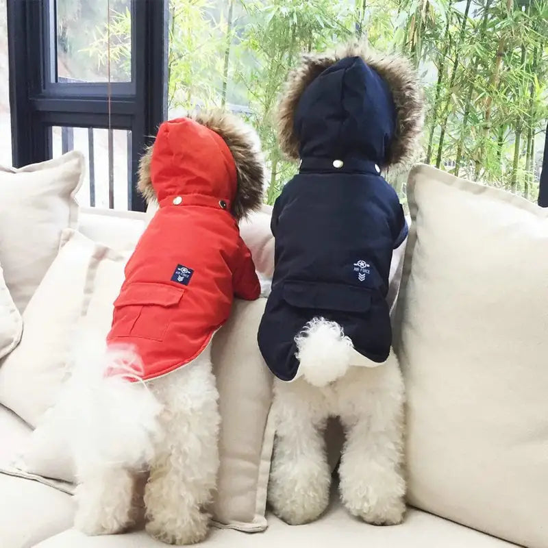 Hooded Cotton Coat for Dogs